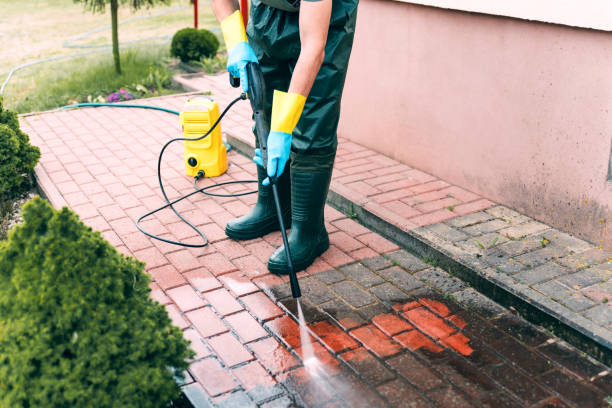 Best Gutter Cleaning and Brightening in South Amherst, OH